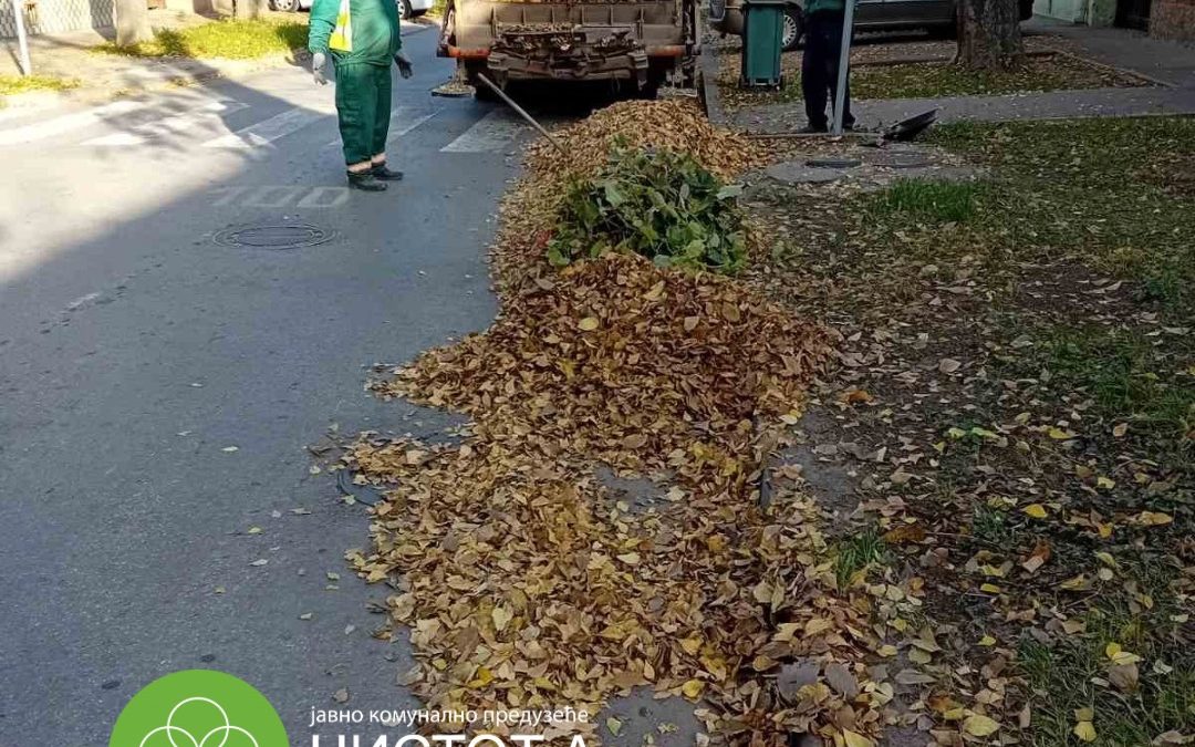 Обављање свакодневних обавеза